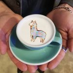 lee kang bin cappuccini decorati, alpaca, lama